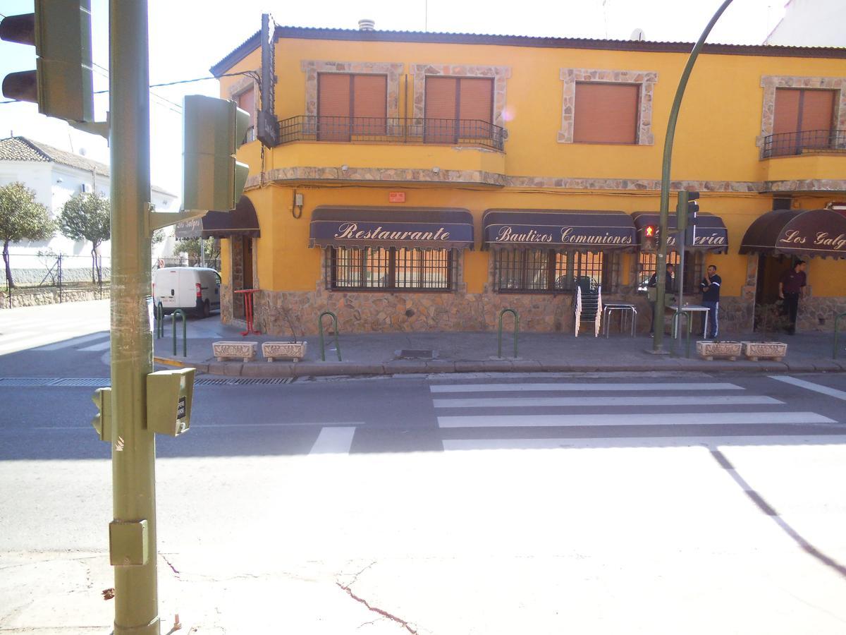 Hostal Los Galgos Yepes Esterno foto
